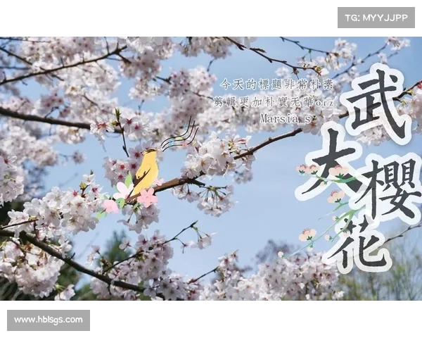 樱花雨下的经济蝶变:江城以奔跑姿态激活万亿级消费新图景 樱花雨下的经济蝶变:江城以奔跑姿态激活万亿级消费新图景