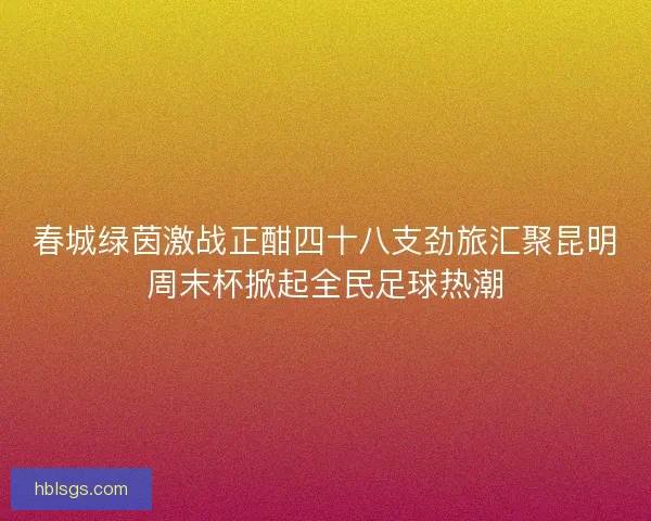 春城绿茵激战正酣四十八支劲旅汇聚昆明周末杯掀起全民足球热潮